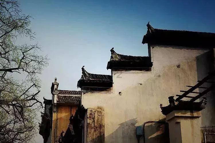 云南镇雄7座加油站开通绿色通道，全力保障救援车辆用油